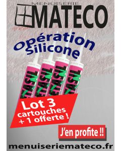 Lots de 3 Cartouches de Silicone + 1 Offerte